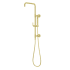 Pfister Modern Round Retrofit Shower with Hand Shower, Slide Bar, Shower Arm, and Hose Brushed Gold