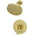 Pfister Contempra Pressure Balanced Shower Only Trim Package with 1.8 GPM Single Function Rain Shower Head Brushed Gold