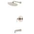 Polished Nickel