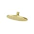 Pfister Modern Round 1.75 GPM Single Function Rain Shower Head Brushed Gold