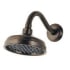 Oil Rubbed Bronze