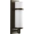 Progress Lighting Township 18" Tall 2 Light Outdoor Wall Sconce with Lantern Shade Antique Bronze