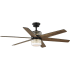 Progress Lighting Carrollwood 56" LED Indoor Ceiling Fan with Remote Control Matte Black