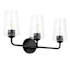 Progress Lighting Celino 3 Light 23" Wide Vanity Light with Clear Glass Black