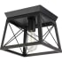 Progress Lighting Briarwood 10" Wide Flush Mount Ceiling Fixture Textured Black