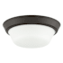 Progress Lighting Edessa 2 Light 13" Wide Flush Mount Bowl Ceiling Fixture Antique Bronze