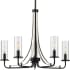 Progress Lighting Riley 5 Light 24" Wide Chandelier Black