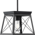 Progress Lighting Briarwood Single Light 10" Wide Pendant Textured Black