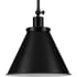 Progress Lighting Hinton 12" Wide Pendant with Metal Shade Matte Black