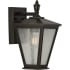 Progress Lighting Cardiff 13" Tall Outdoor Wall Sconce Antique Bronze