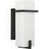 Progress Lighting Antrim 13" Tall Outdoor Wall Sconce Black