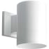 Progress Lighting Single Light 7" Tall LED Outdoor Cylinder Wall Sconce White