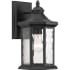 Progress Lighting Edition 13" Tall Single Light Outdoor Wall Sconce with Water Glass Shade Black