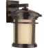 Progress Lighting Wish LED 1 Light 13" Tall Outdoor Wall Sconce with Etched Glass Diffuser Antique Bronze