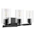 Prominence Home Lantier 3 Light 22" Wide Vanity Light with Clear Glass Shades Matte Black / Clear