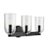 Prominence Home Hansley 3 Light 24" Wide Vanity Light with Clear Glass Shades Matte Black / Clear