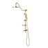 Pulse Kauai Retrofit Shower with Shower Head, Hand Shower, and Hose Brushed Gold
