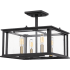 Quoizel Citadel 4 Light 14" Wide Semi-Flush Ceiling Fixture Earth Black