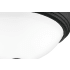 Alternate View