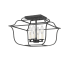 Quoizel Gallery 4 Light 14" Wide Semi-Flush Ceiling Fixture Royal Ebony