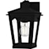Quoizel Huck 11" Tall Outdoor Wall Sconce with Seedy Glass Shade Earth Black