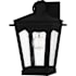 Quoizel Huck 13" Tall Outdoor Wall Sconce with Seedy Glass Shade Earth Black