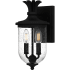 Quoizel Havana 2 Light 14" Tall Outdoor Wall Sconce with Seedy Glass Shade Earth Black