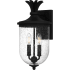 Quoizel Havana 2 Light 16" Tall Outdoor Wall Sconce with Seedy Glass Shade Earth Black