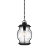 Quoizel Luther 9" Wide Outdoor Mini Pendant Earth Black