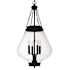 Quoizel Wallace 4 Light 16" Wide Pendant with Clear Glass Shade Matte Black