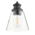 Quorum International Dunbar 6" Wide Mini Pendant Noir