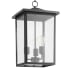 Quorum International Riverside 3 Light 11" Wide Outdoor Pendant Noir