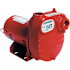 Red Lion 45 GPM 1/2 HP Cast Iron Surface Effluent Pump N/A