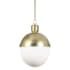 Regina Andrew Classics 16" Wide Pendant Natural Brass