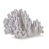 Regina Andrew Coral 16.5" Wide Art Piece Large Natural Coral
