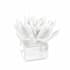 Regina Andrew Succulent 5.5" Wide Resin Sculpture White