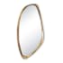 Regina Andrew Galet 24"W x 46"H Specialty Flat Resin Framed Accent Mirror Antique Gold Leaf
