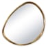 Regina Andrew Monte 44"W x 46"H Specialty Flat Resin Framed Accent Mirror Antique Gold Leaf