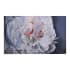 Floral Elegance Art on White Background