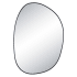 Ren Wil Bozeman 30" W x 42" H Oval Framed Bathroom Mirror Matte Black