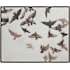 Ren Wil Busan 50" x 40" Framed Animals Painting White
