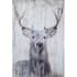 Ren Wil Gaze Rustic 36" x 24" Majestic Buck Print on Wood Panel Wall Art Grays