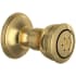 Satin Unlacquered Brass