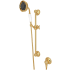 Rohl Spa Shower 1.8 GPM Multi Function Hand Shower Package - Includes Slide Bar, Hose, and Wall Supply Italian Brass