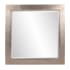 Roseto 30" W x 60" H Square Framed Bathroom Mirror Silver Leaf