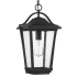 Roseto Dakota Single Light 11" Wide Outdoor Pendant Earth Black