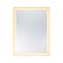 Savoy House Paulding 24"W x 32"H Rectangular Flat Glass and Metal Wall Mounted Bathroom Mirror with Lighting N/A
