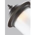 Sea Gull Lighting-8929891S-Antique Bronze - Application Shot 2
