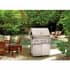 Sedona by Lynx-L500PSFR-LP-Installed View
