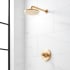 Signature Hardware Lentz Pressure Balanced Shower Only Package with Rainfall Shower Head, Knob Handles, Shower Arm, Valve Trim - Accufit Rough-In Valve Included Brushed Gold
